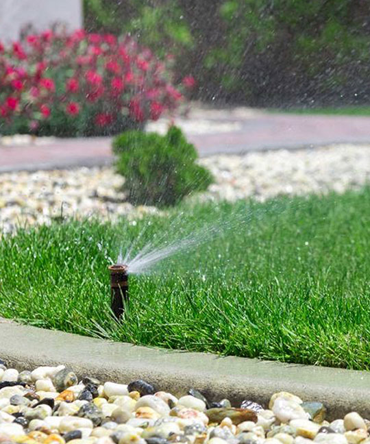 irrigation